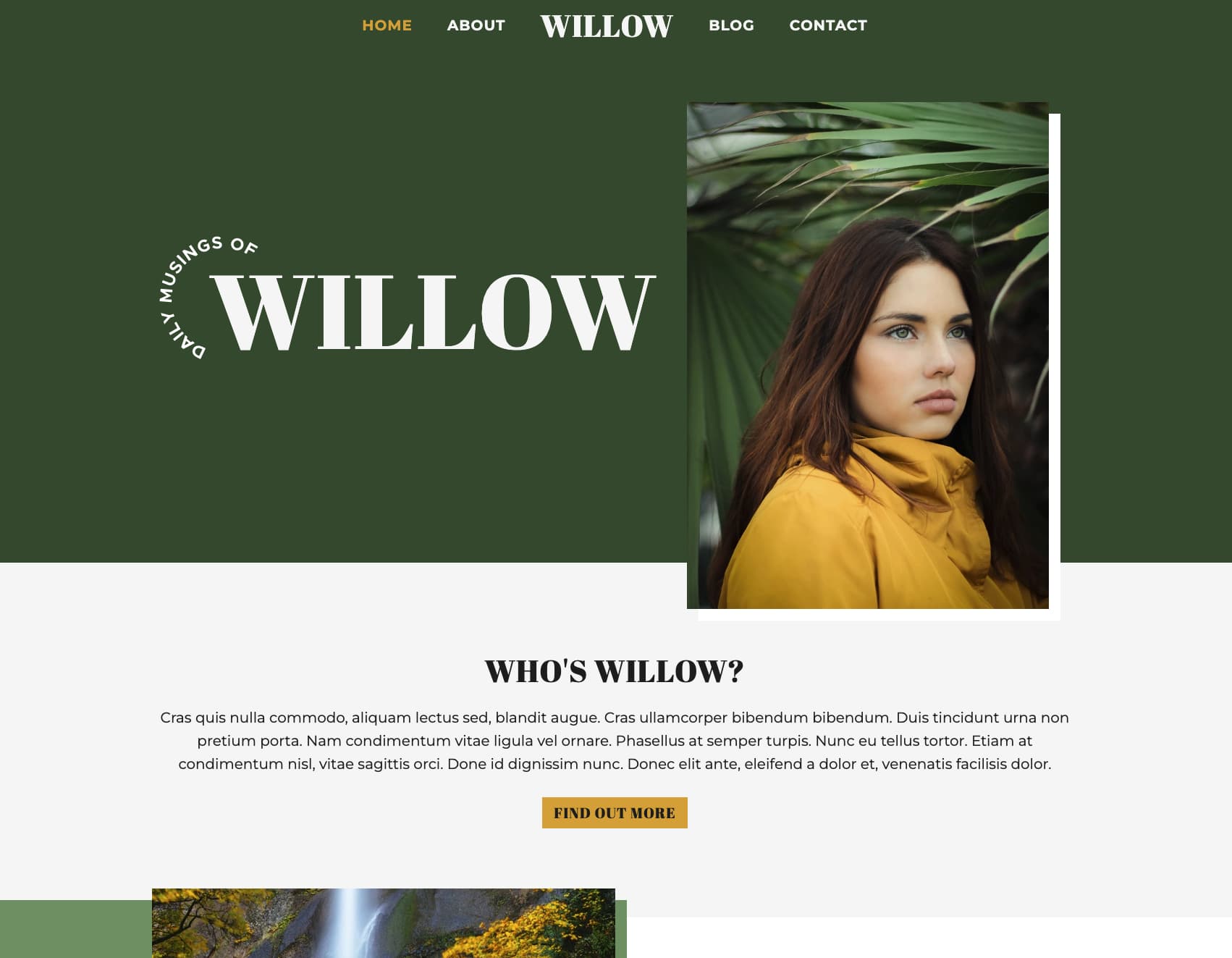 Screenshot of the Willow Blog website